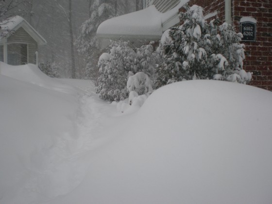 Front walkway to my front door. It's under there somewhere.. Front walkway to my front door. It's under there somewhere..