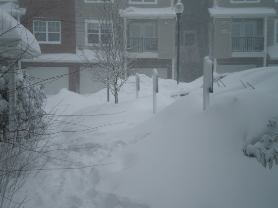 Front walkway (left) with cars on the right, in the parking lot Front walkway (left) with cars on the right, in the parking lot