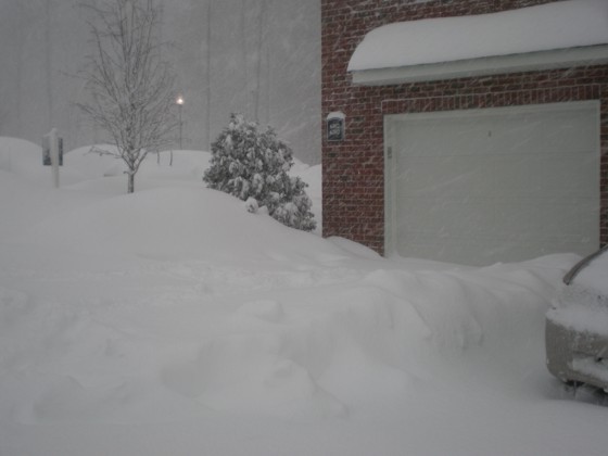 My driveway and garage. My driveway and garage.