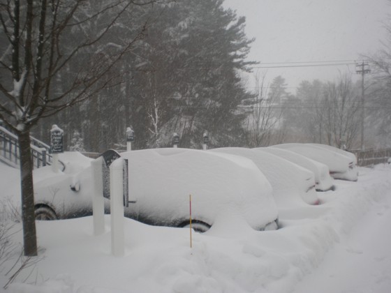 Snow covered cars Snow covered cars