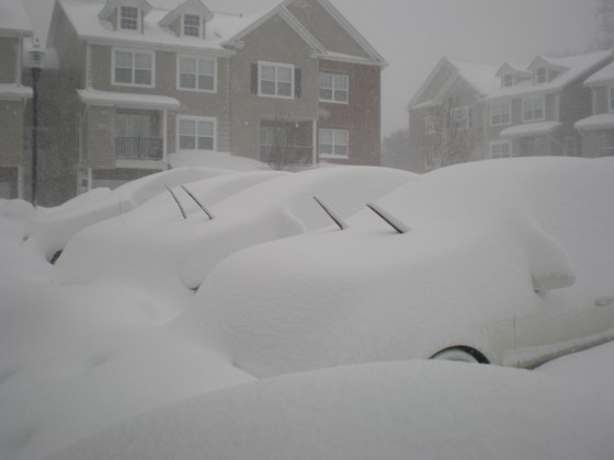 Snow covered cars Snow covered cars