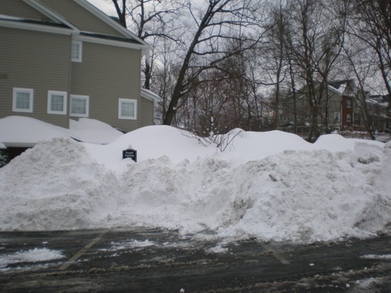 Snow piled high in the parking lot Snow piled high in the parking lot