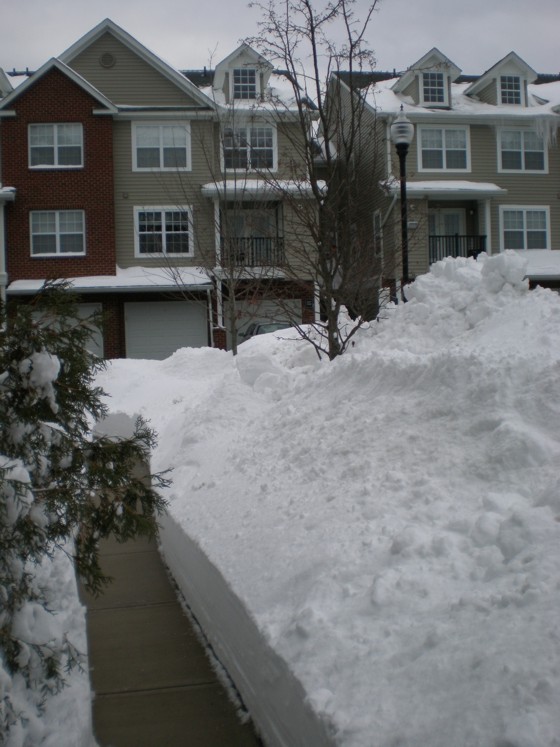 My front walkway My front walkway