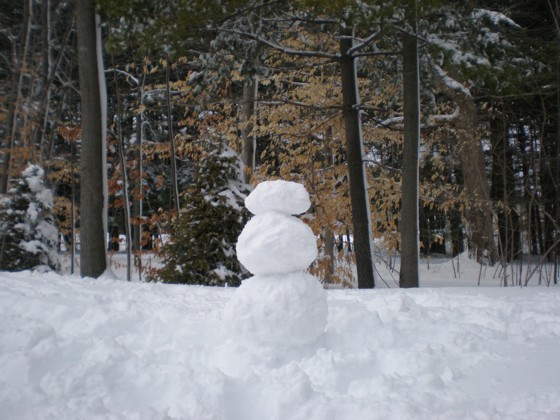 My snowman. BTW, the snow was NOT cooperating, and it took an inordinate amount of time and effort to make this! My snowman. BTW, the snow was NOT cooperating, and it took an inordinate amount of time and effort to make this!