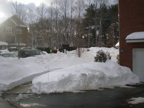 My driveway and front walkway My driveway and front walkway