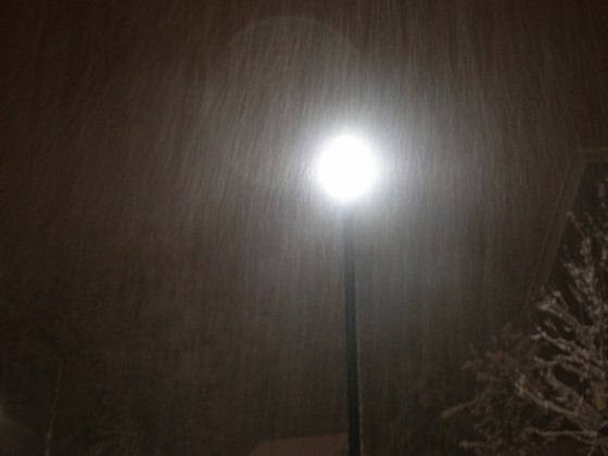 Heavy snow illuminated by a street light Heavy snow illuminated by a street light