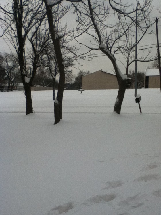 Snow in Mesquite, TX Friday morning (2/4).  Photo taken by Meggan Figueroa not long before a heavy snow band moved through.