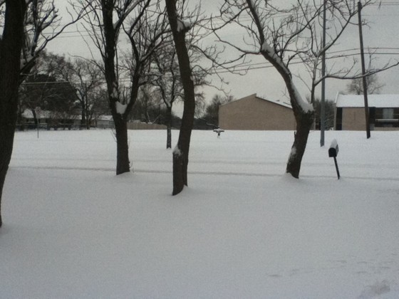 Snow in Mesquite, TX Friday morning (2/4). Photo taken by Meggan Figueroa not long before a heavy snow band moved through. Snow in Mesquite, TX Friday morning (2/4). Photo taken by Meggan Figueroa not long before a heavy snow band moved through.