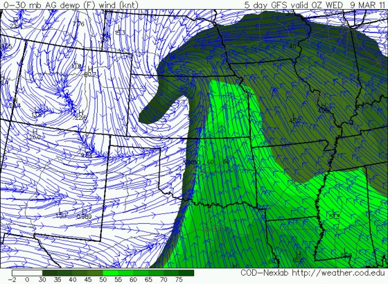 00z March 4 GFS surface dewpoints valid 00z March 9.